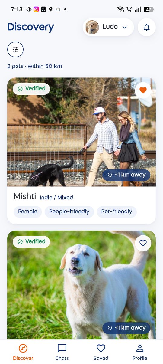 The Spottail app showing pets nearby, with verified badges and distance